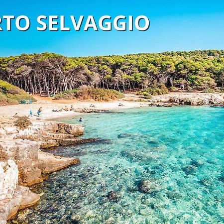 Casa Smeraldo Mare A Sud Di Porto Cesareo Torre Inserraglio エクステリア 写真
